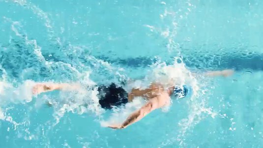 Bild Schwimmbad Feed